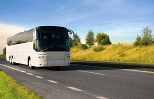 Meharbus.com safarfriendly