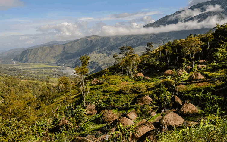 Papua Pegunungan Safarfriendly
