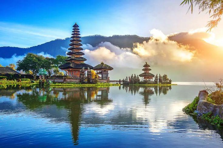 Safarfriendly Bali
