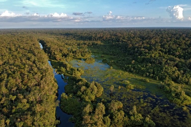 Kalimantan Tengah Safarfriendly