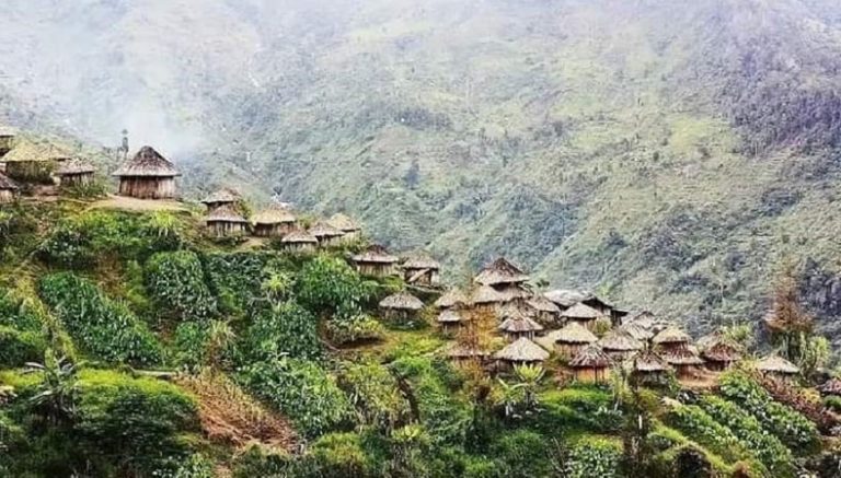 Papua Pegunungan Safarfriendly